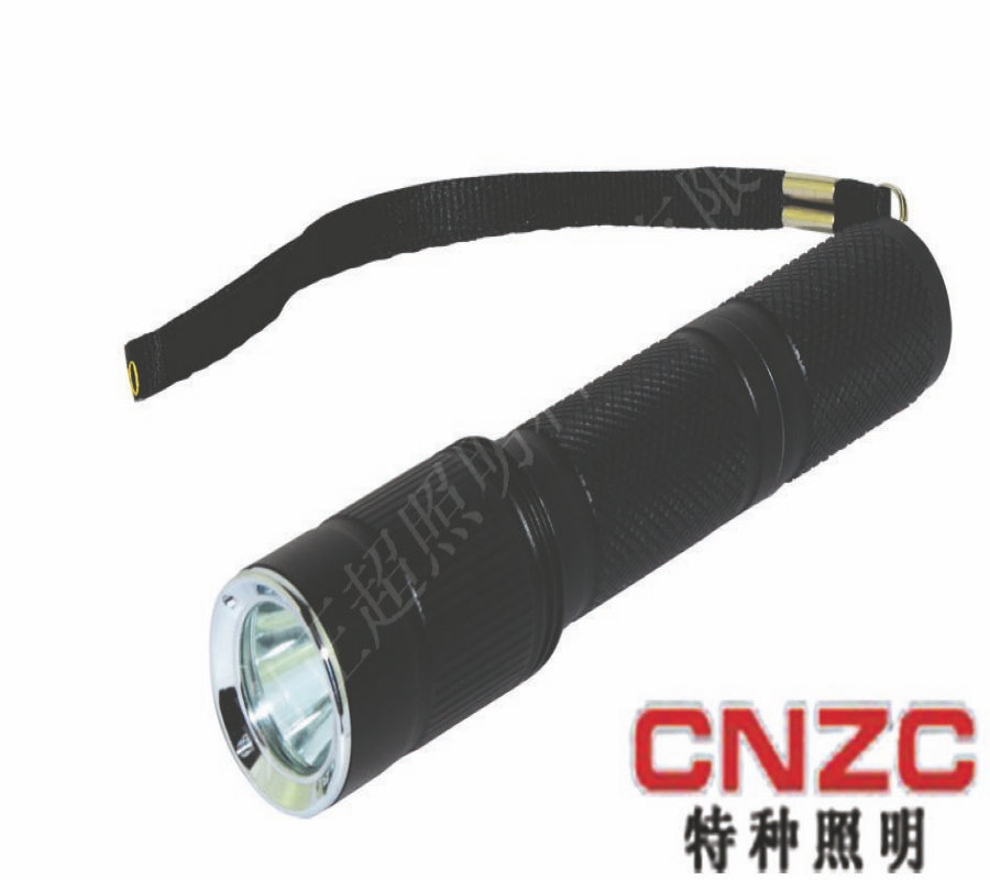 BZC6012微型防爆强光电筒
